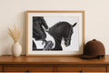 Framed black and white photograph of a horse on a wooden dresser with a vase and cap.