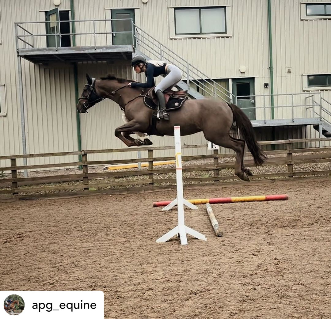 Light grey equestrian riding tights on a white background